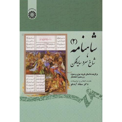 1913 شاهنامه 2 شاخ سرو سایه فکن-سجاد آیدنلو/سمت