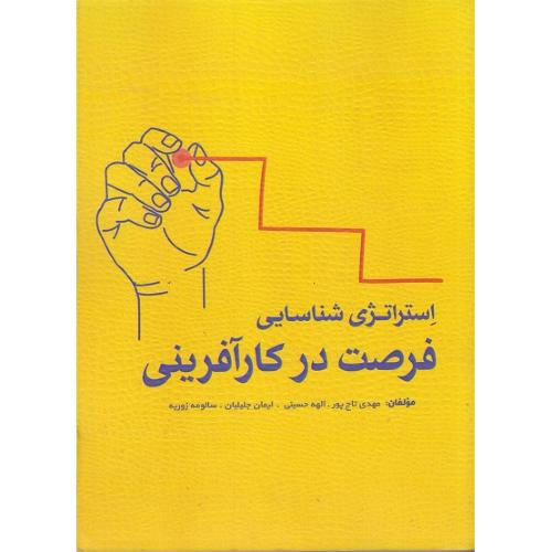 استراتژی شناسایی فرصت در کارآفرینی-مهدی تاج پور/مهکامه