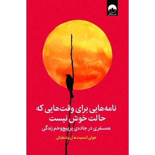نامه هایی برای وقت هایی که حالت خوش نیست-جولی اسمیت-آرزو شنطیائی/میلکان