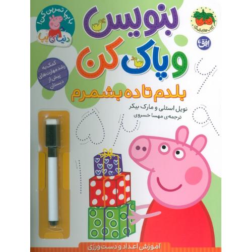 بنویس و پاک کن-بلدم تا ده بشمرم-نویل استلی-مهسا خسروی/افق