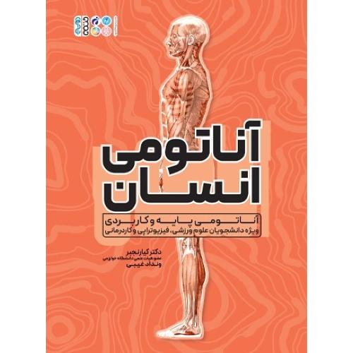 آناتومی انسان-کیارنجبر/حتمی